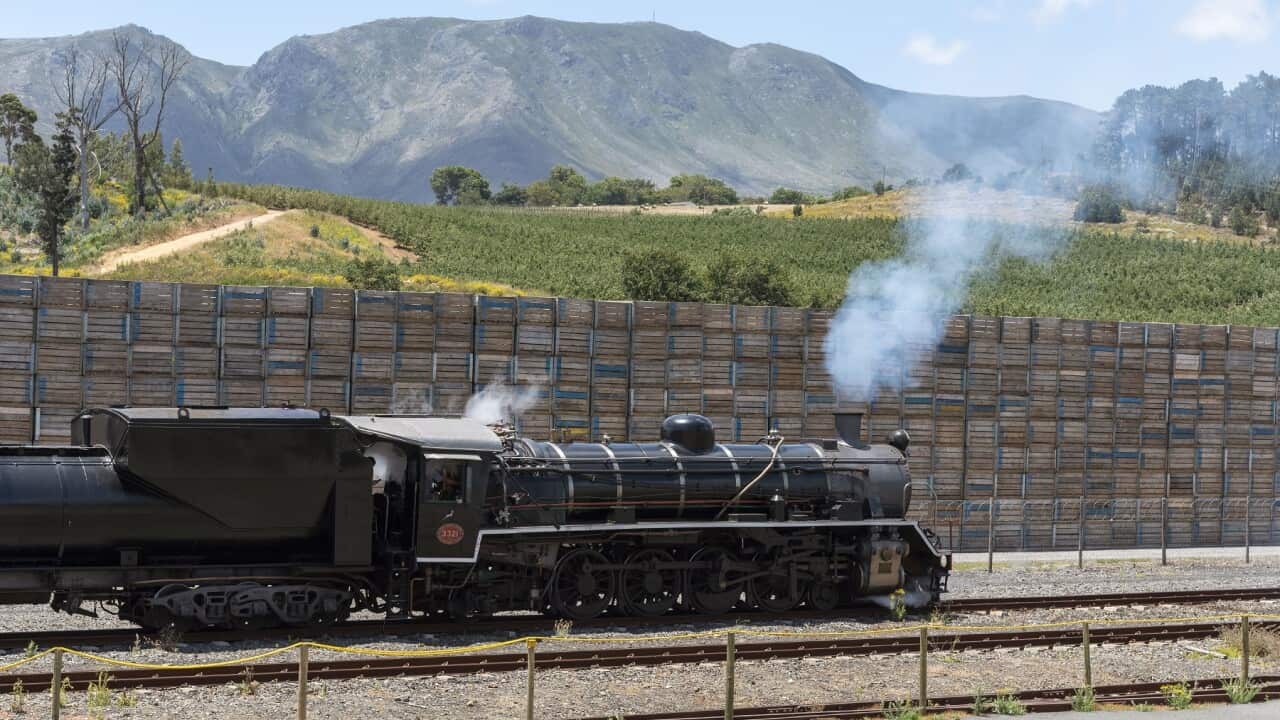 Elgin, Western Cape, South Africa, Elgin station in the Overberg region of the Western Cape. Vintage tourist steam train leaving Elgin Station bound for Cape Town