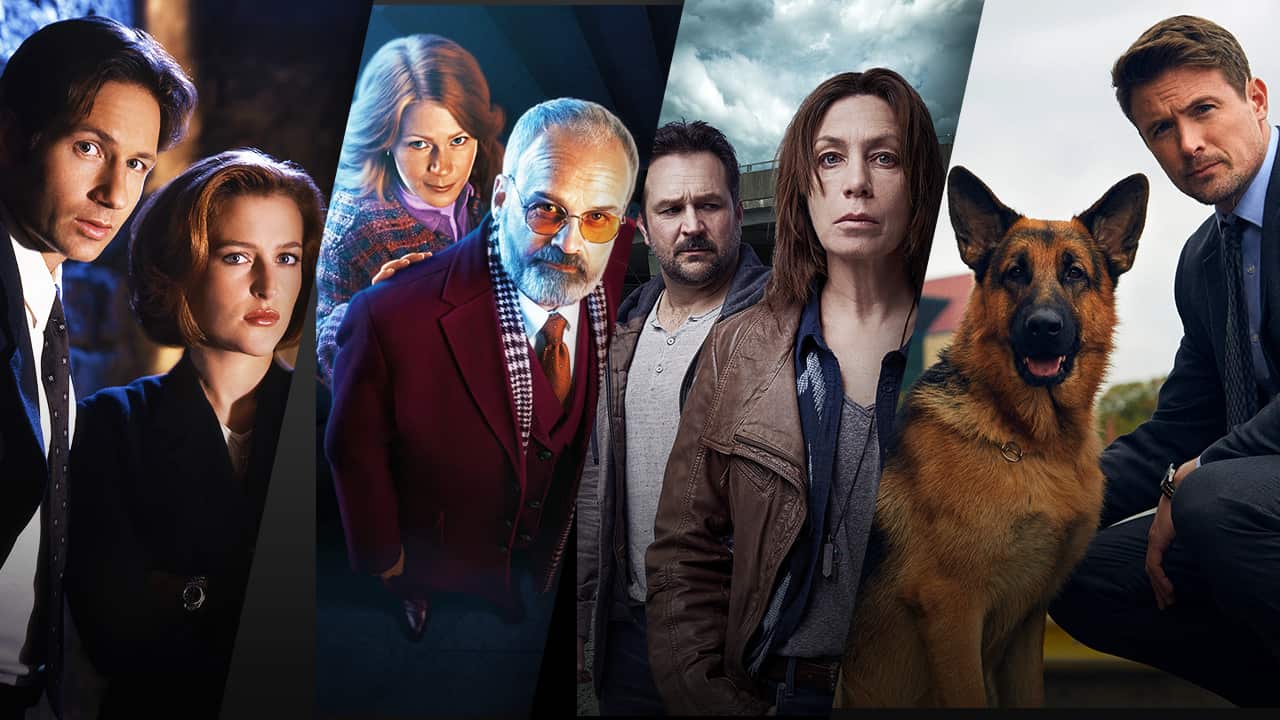 Image for read more article 'MORE TO WATCH'