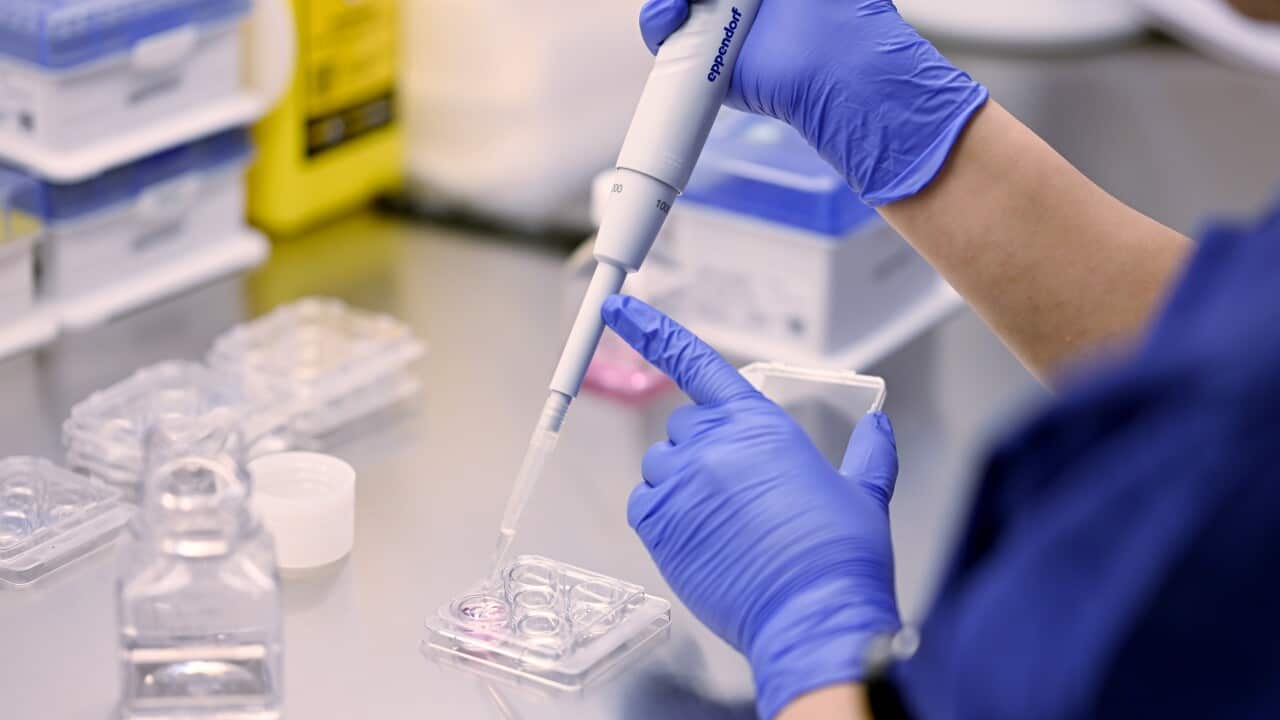 A blue lab coat scientist injecting a plastic container on a grey bench.
