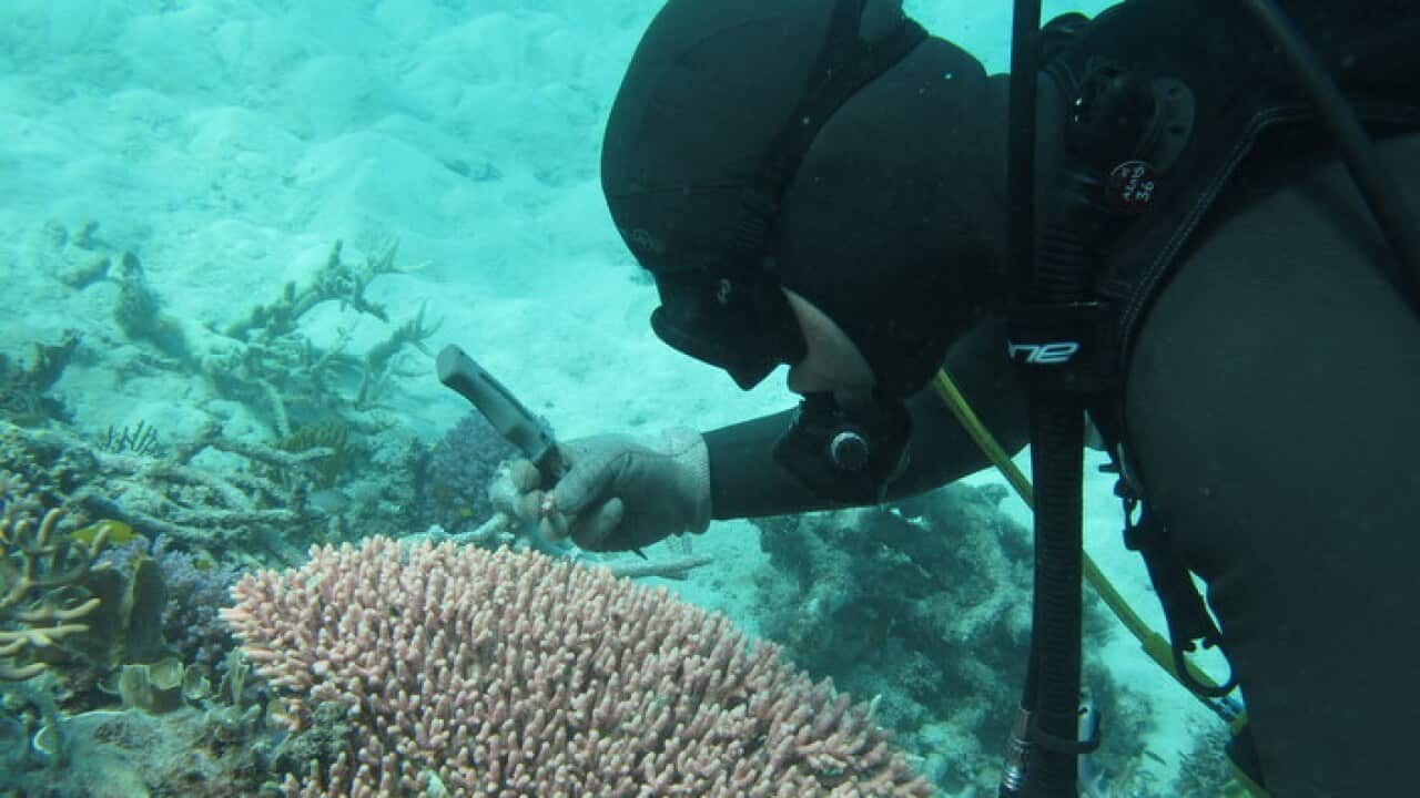 Andrea Severati at work