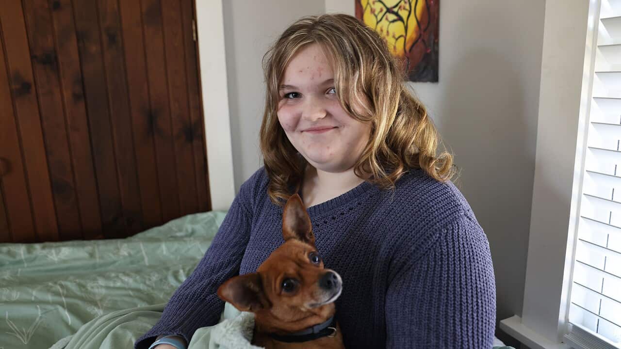 A teenage girl in a purple long-sleeve top is holding a dog on her lap