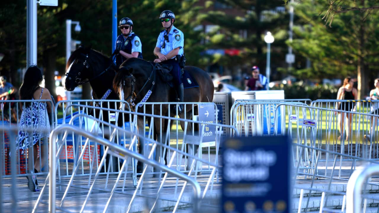 Image for read more article 'READ MORE'