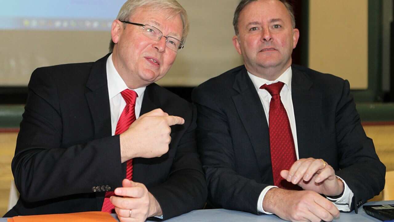 'Chill out' on election date: Albanese