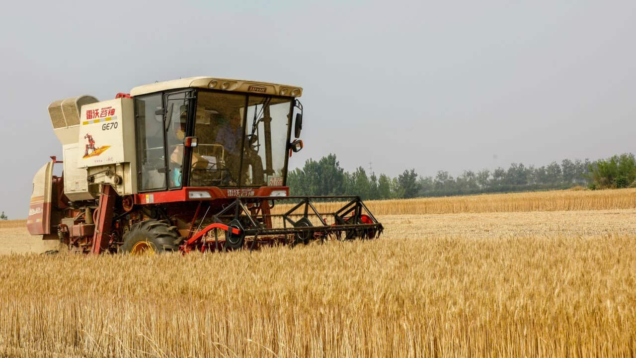 A new report has revealed most Australians think climate change will have an impact on severe weather – causing issues with our food supply.