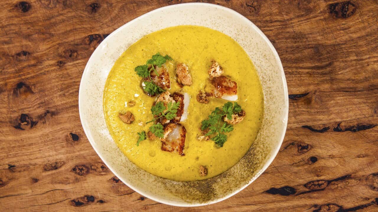 A bright yellow soup sits in a modern whitish bowl, topped with cooked scallops and herb sprigs.