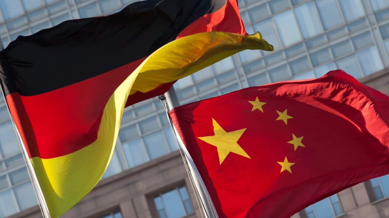 The report came out in Germany on Wednesday.
