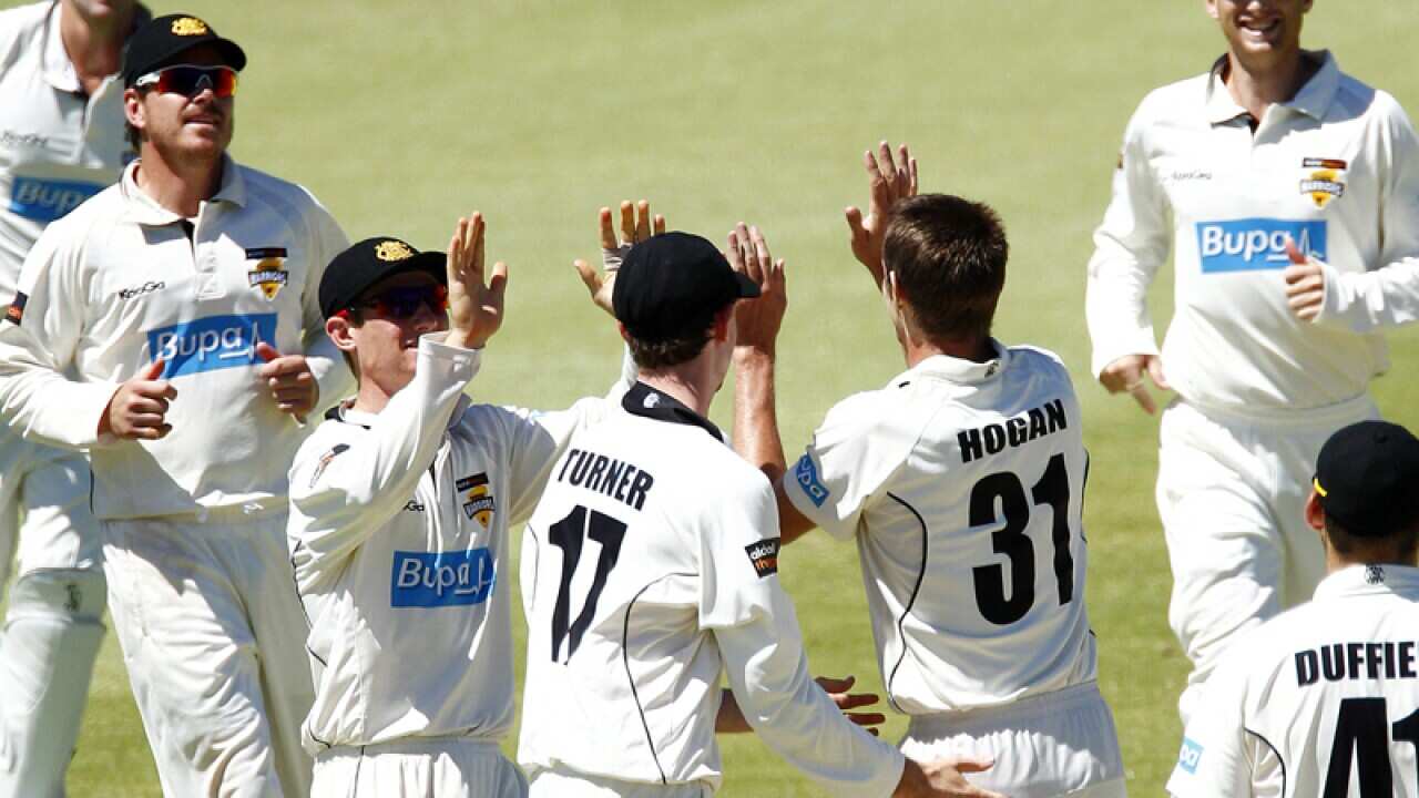 Michael Hogan of the Western Warriors celebrates