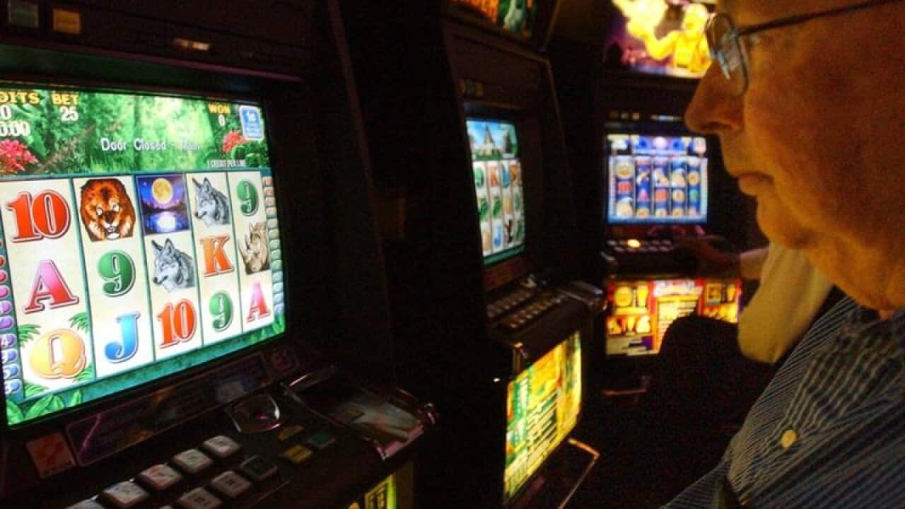 A punter playing the poker machines in a Sydney club