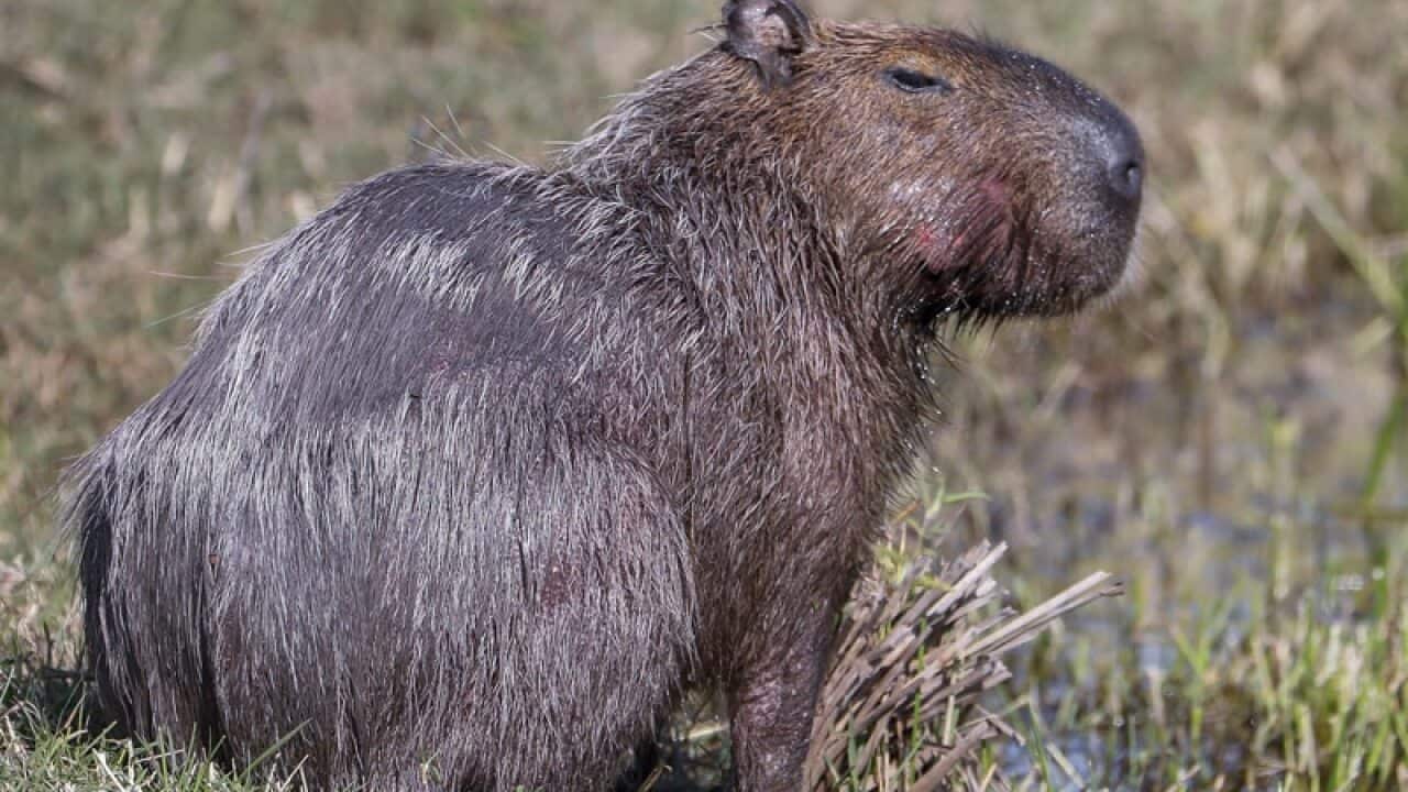 Image for read more article 'READ MORE'