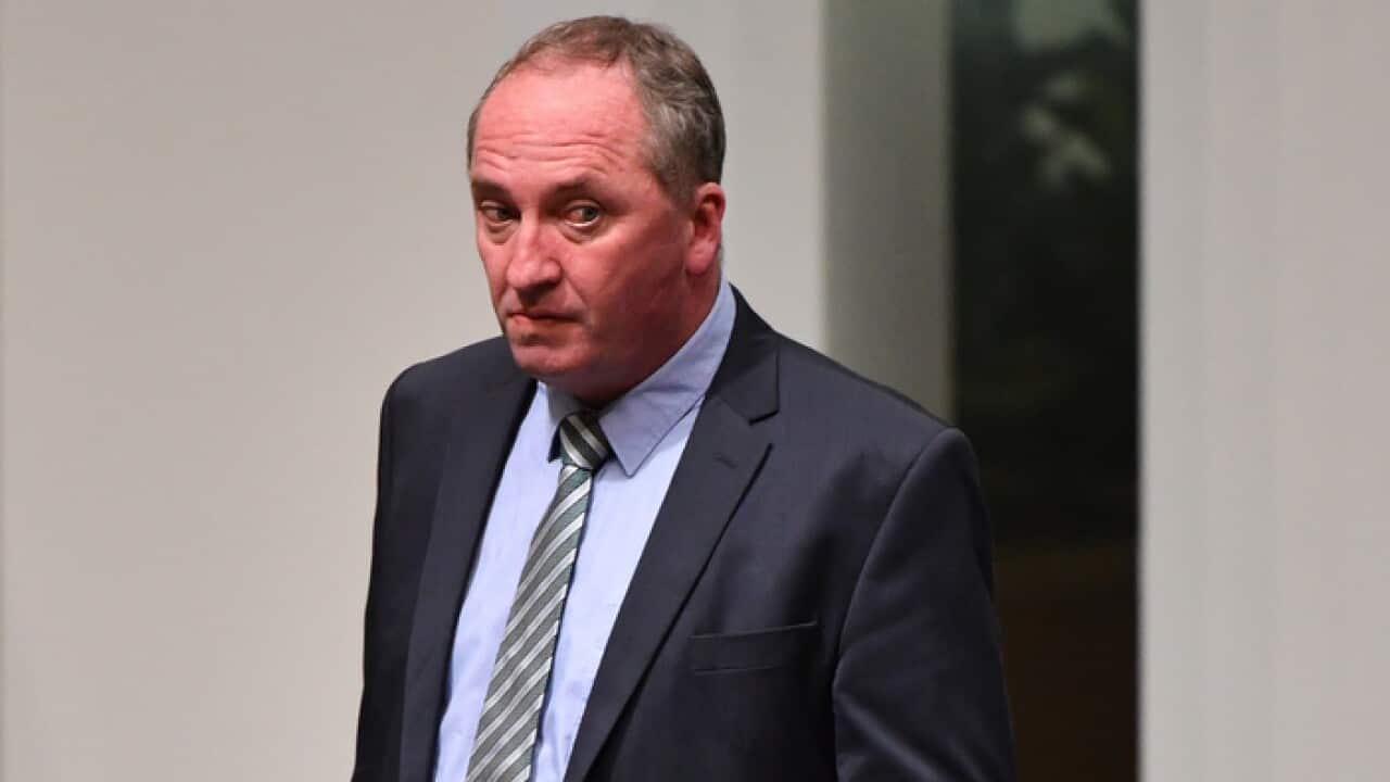 Former deputy prime minister Barnaby Joyce