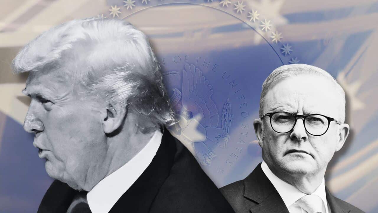 ANTHONY ALBANESE DONALD TRUMP