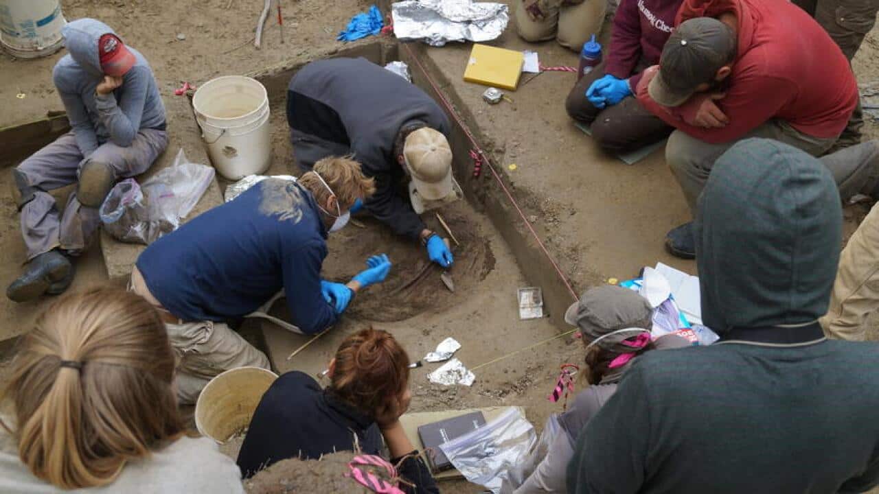 Indigenous Sunrise girl Researchers excavating the 11,500 year-old remains in Alaska.
