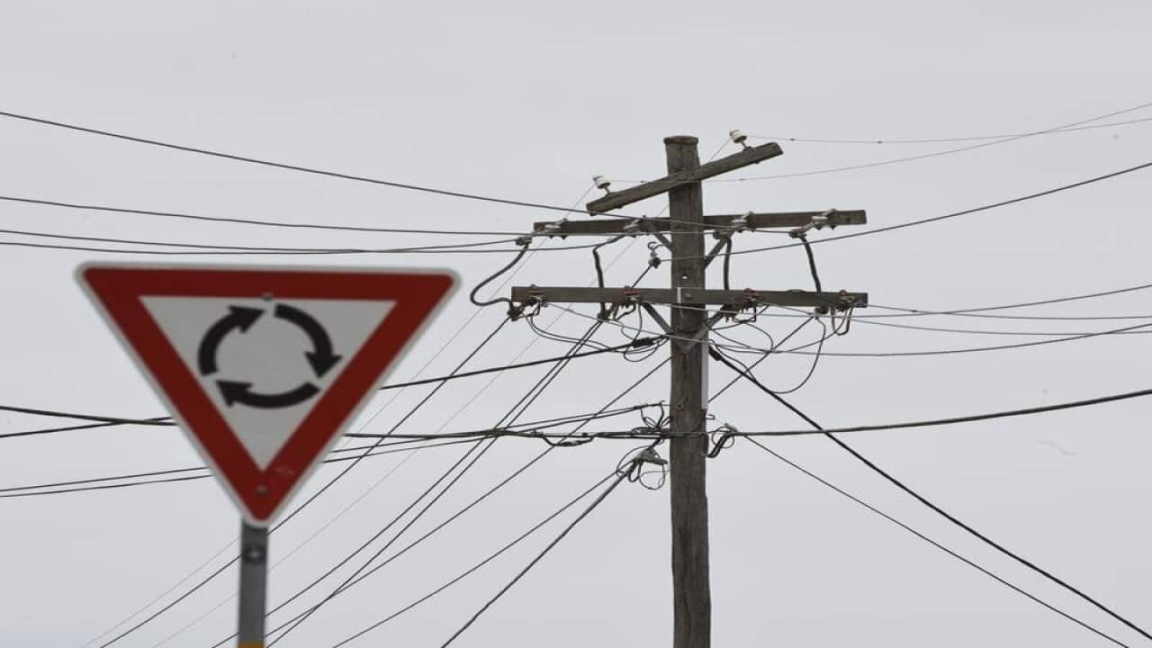 Electricity poles are seen near a roundabout sign in Sydney.