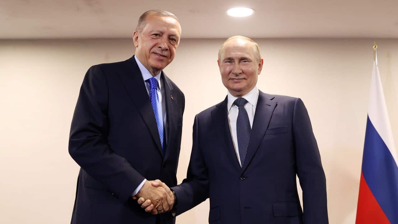 Erdogan and Putin