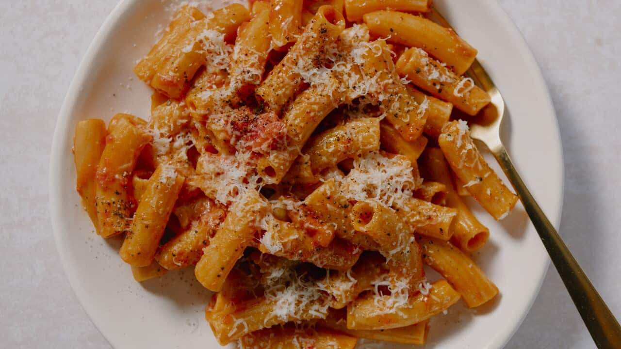 Rigatoni amatriciana