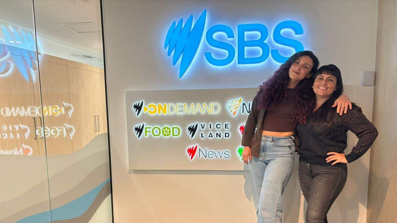 WhatsApp Image 2025-12-01 at 17.19.59 (1).jpeg