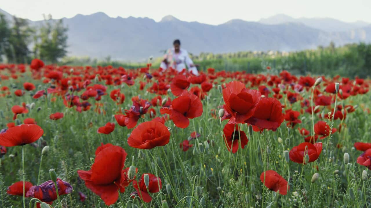 Image for read more article '更多內容'