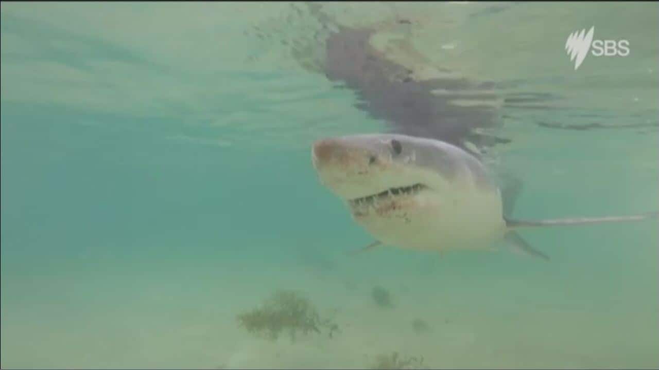 Image for read more article 'More reading'