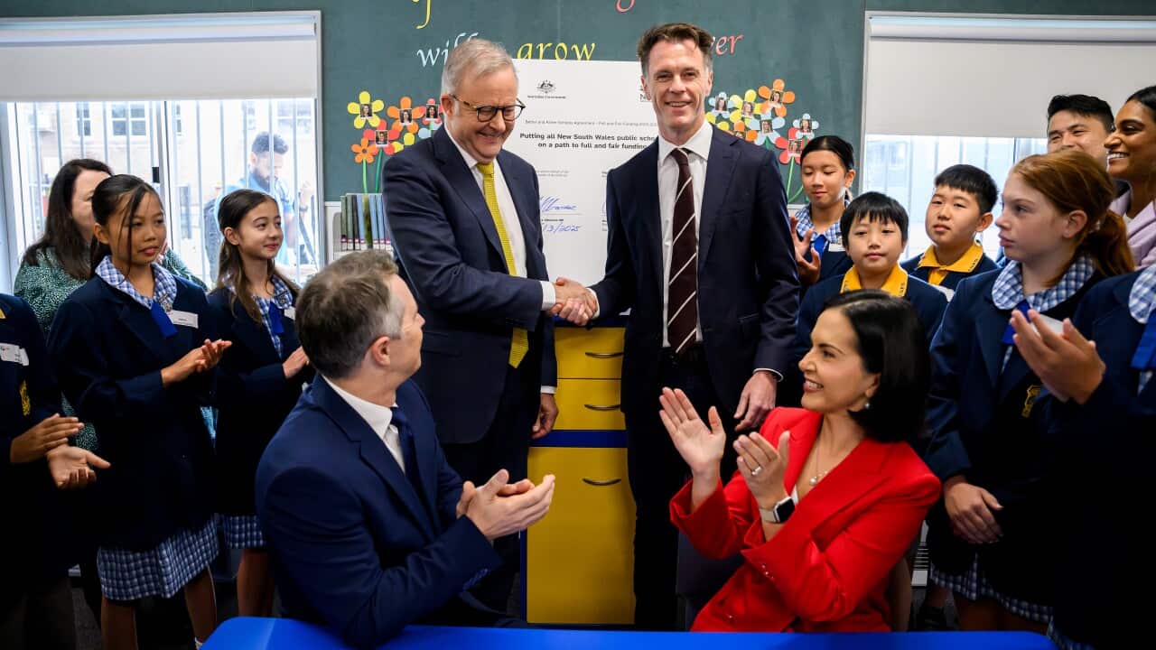 ANTHONY ALBANESE SYDNEY PRESSER