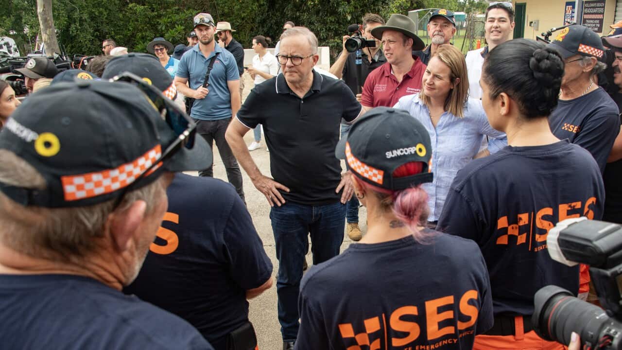 ANTHONY ALBANESE CAIRNS VISIT