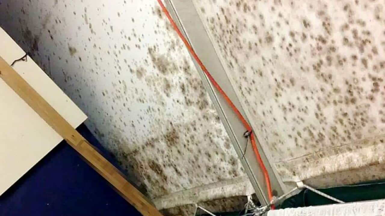 Mould on the interior of asylum seeker tent.