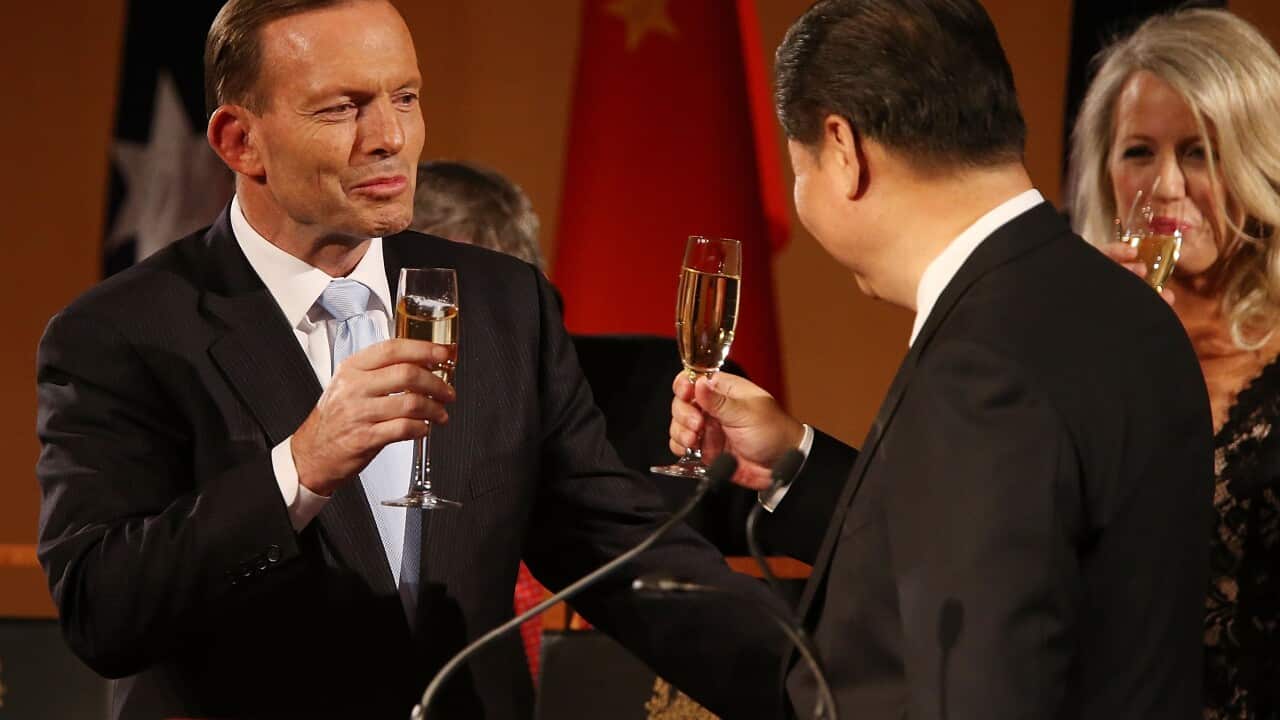 PM Abbott toasts President Xi (Getty, Stefan Postles)