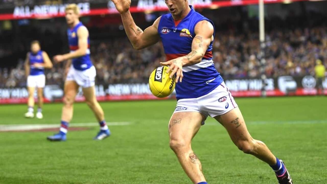 Tom Liberatore
