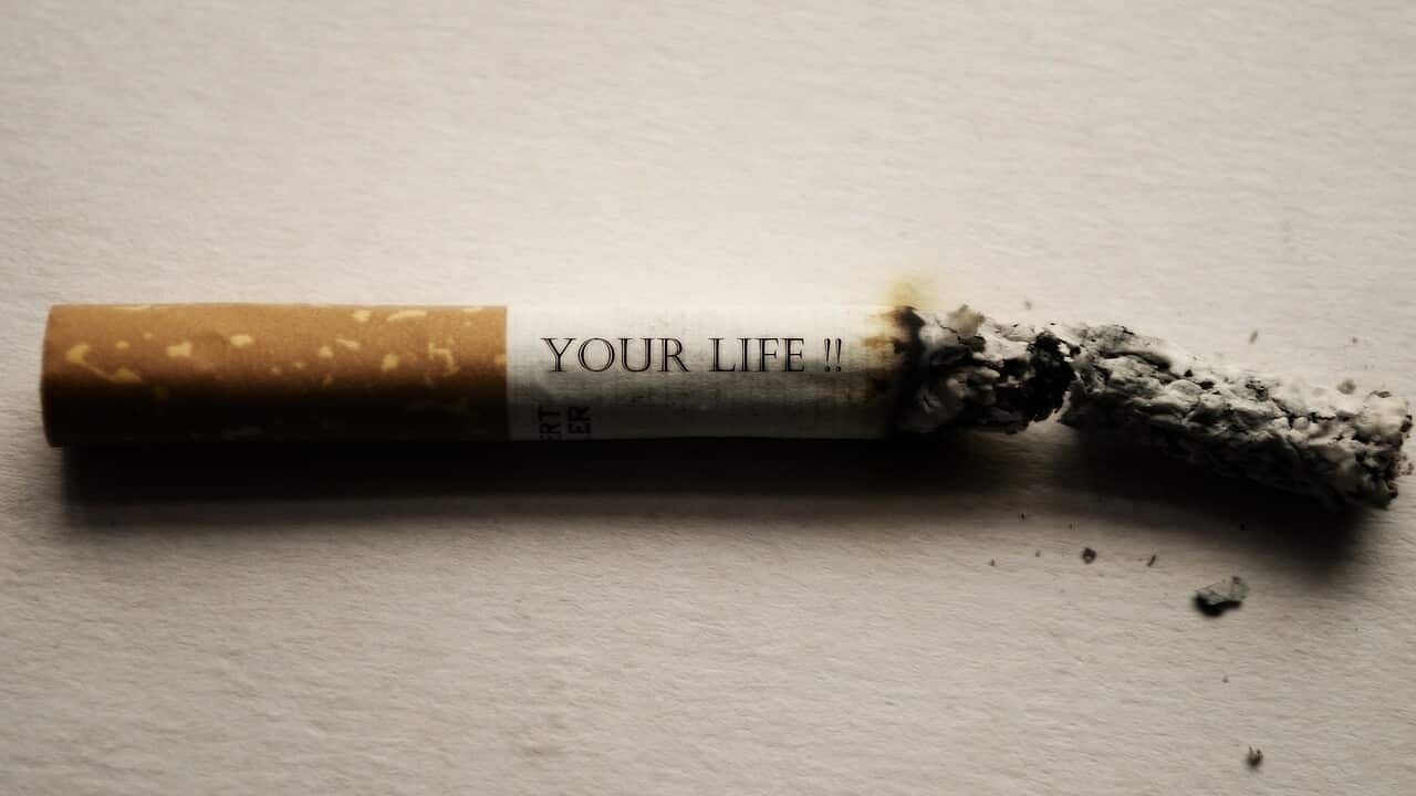 Image for read more article ''