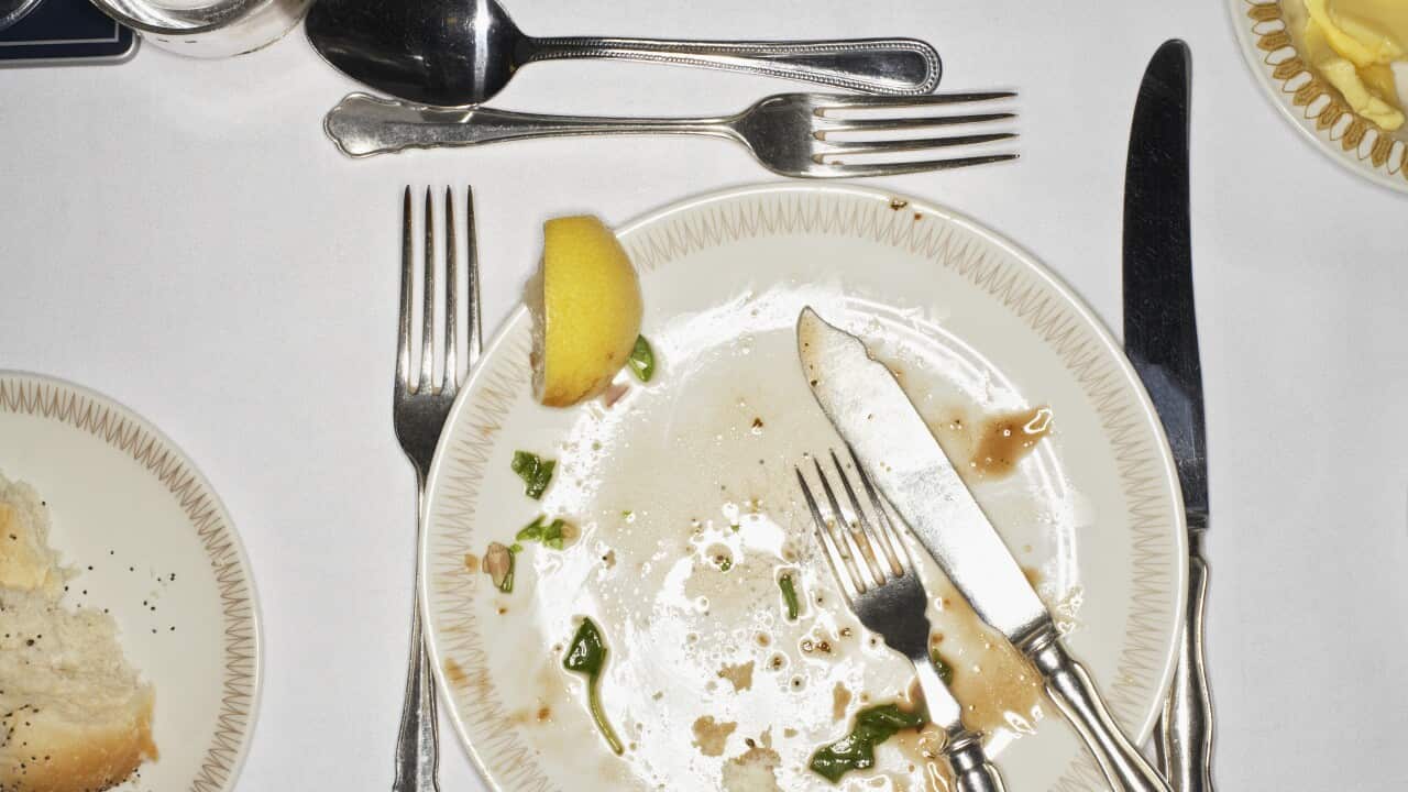 dinner eating food plate full plate