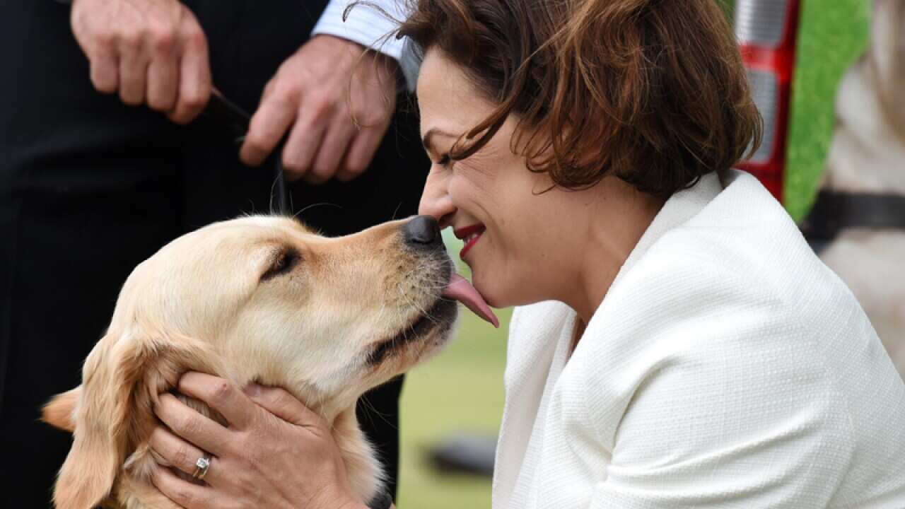 Queensland Deputy Premier Jackie Trad
