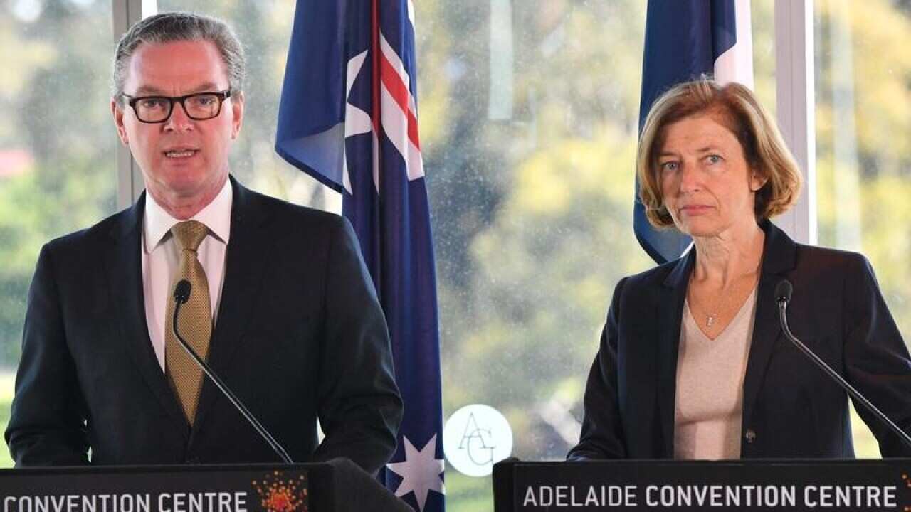 French Armed Forces Minister Florence Parly with Christopher Pyne.