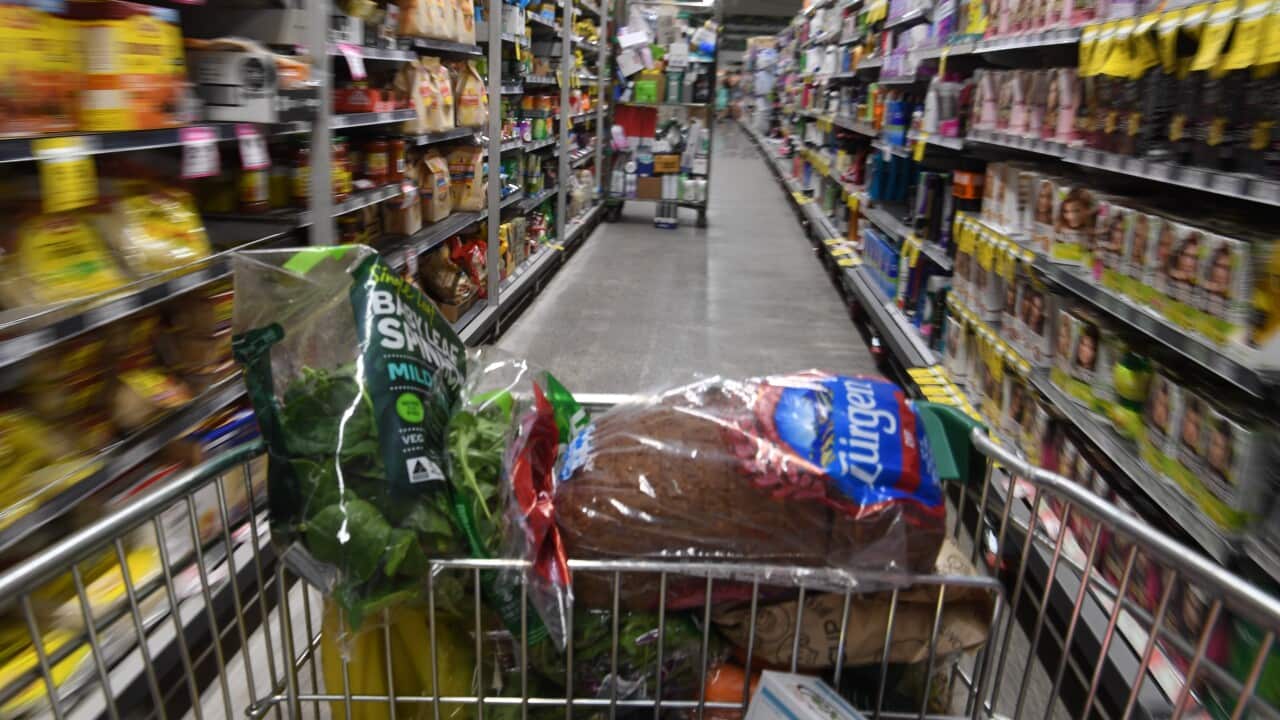 WOOLWORTHS SHOPPING STOCK