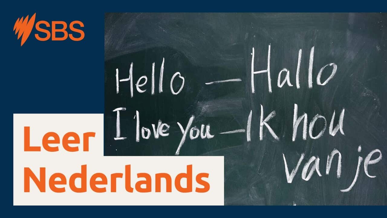 Image for read more article 'MEER AFLEVERINGEN'