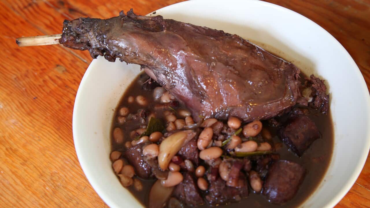 Braised hare with Toulouse sausage and white beans-image
