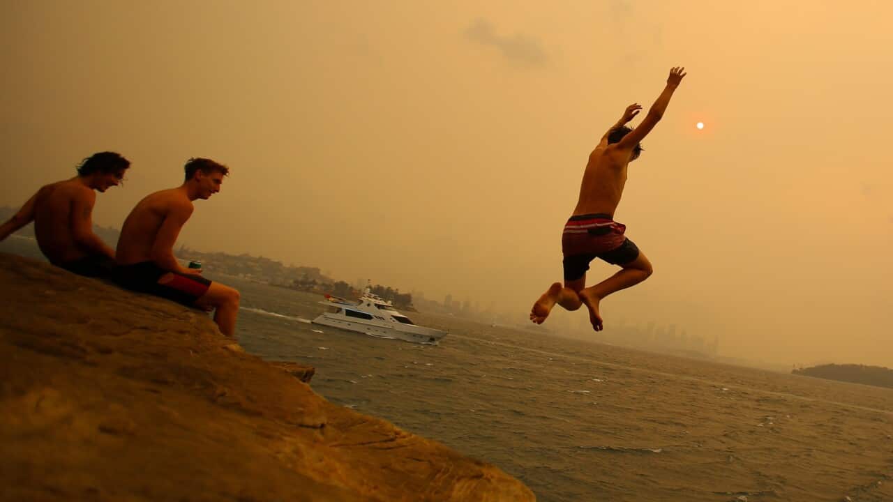 Smoke haze from bushfires blankets the Sydney CBD as beachgoers Jump from a cliff in Nielsen Park during hot weather in Sydney
