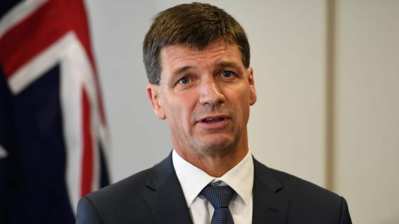 Energy Minister Angus Taylor addresses media (file image)