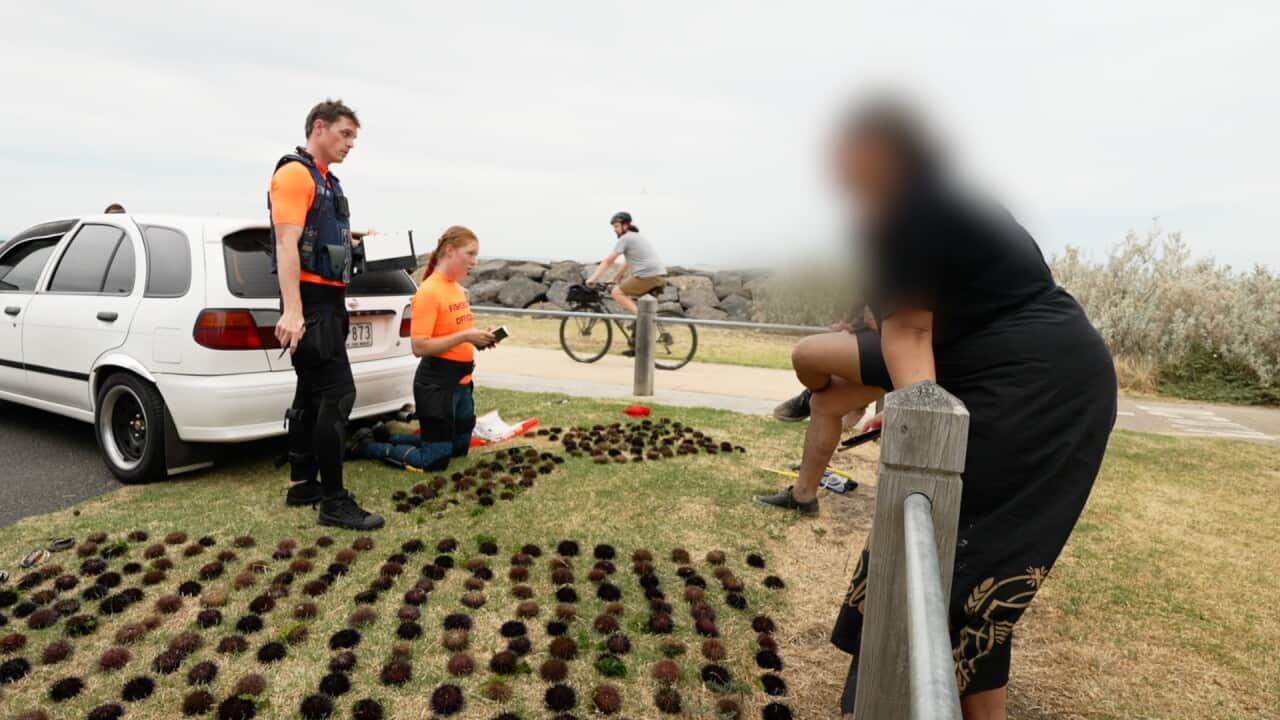 Image for read more article ''