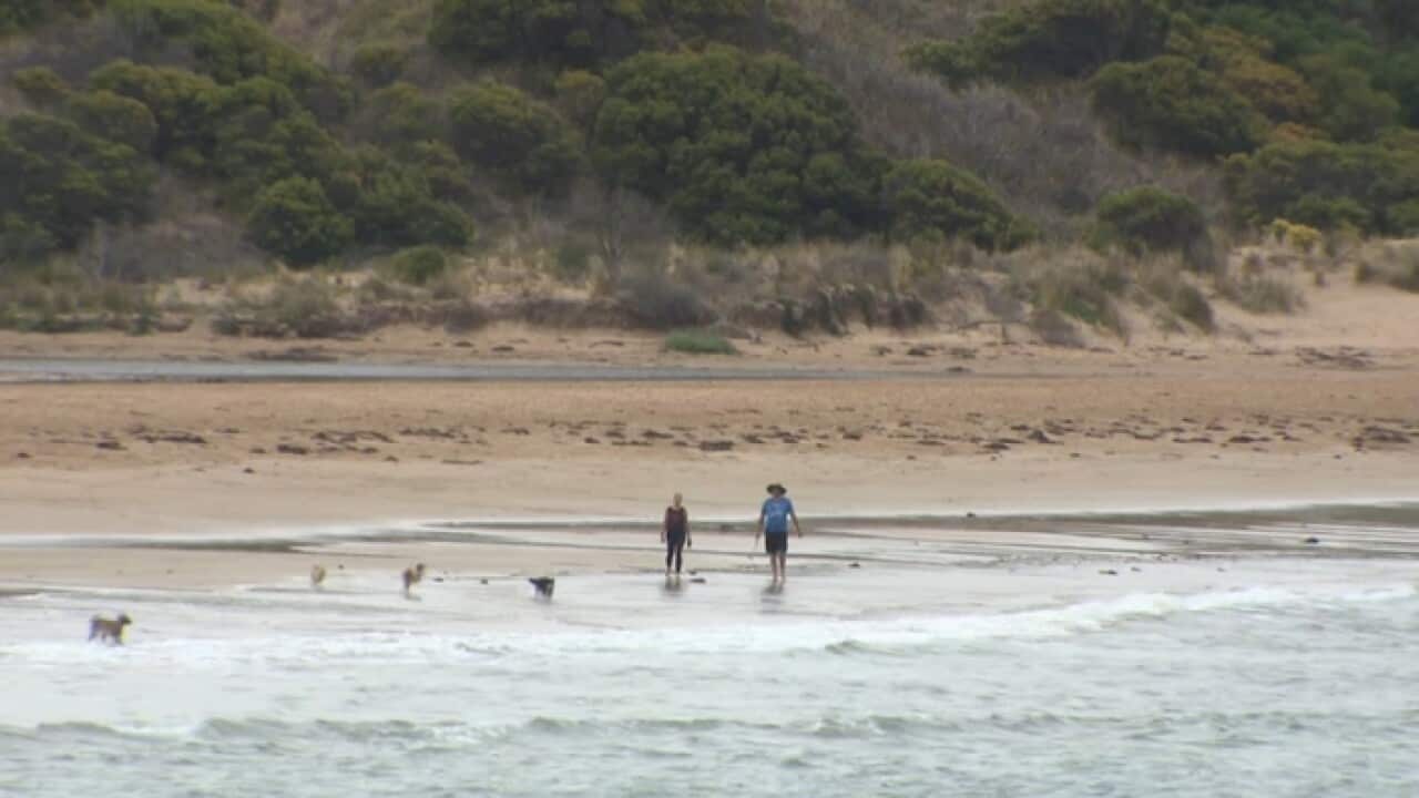 A beach in Torquay, part of the marginal Victorian federal electorate of Corangamite