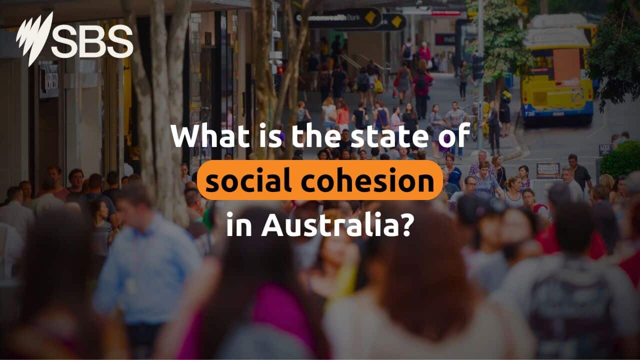 Social cohesion
