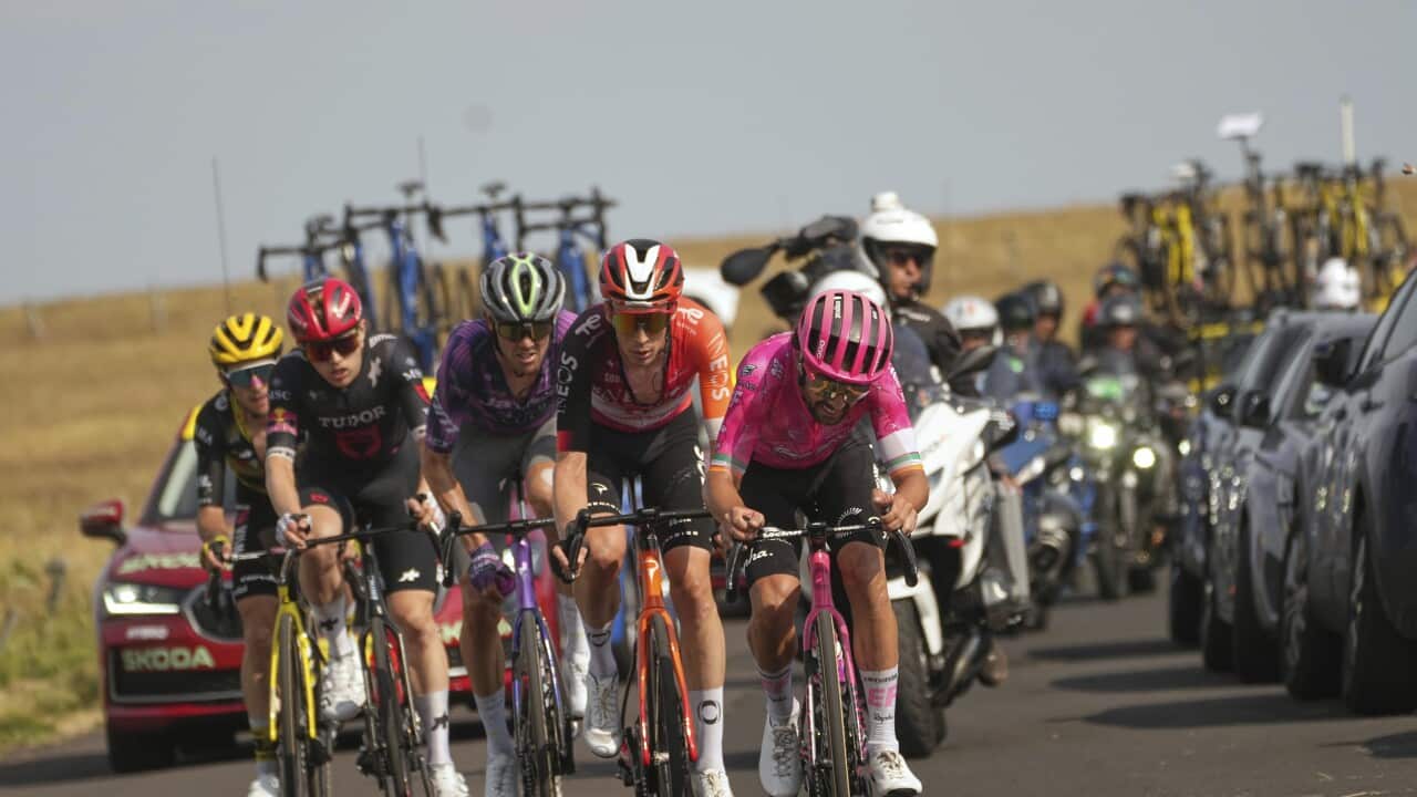 A group of cyclists during the Tour de France.