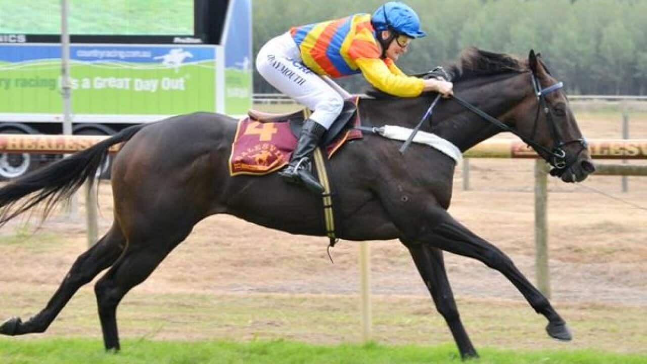 Jockey Debbie Waymouth.