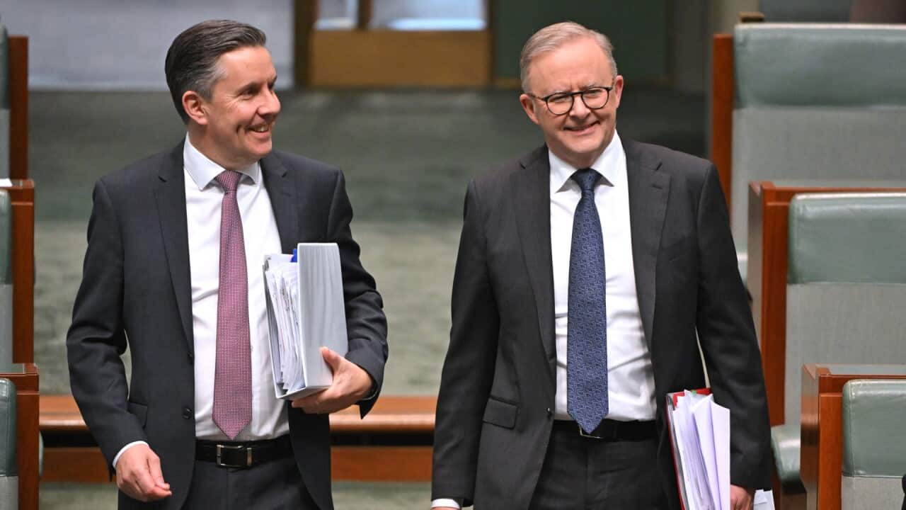 thumbnail_Minister for Health Mark Butler and Prime Minister Anthony Albanese arrive for Question Time (AAP).jpg