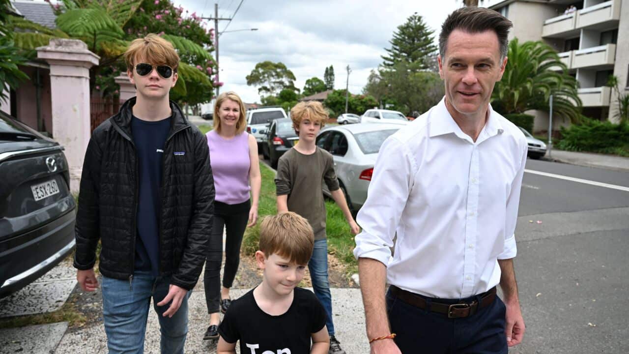 Image for read more article ''