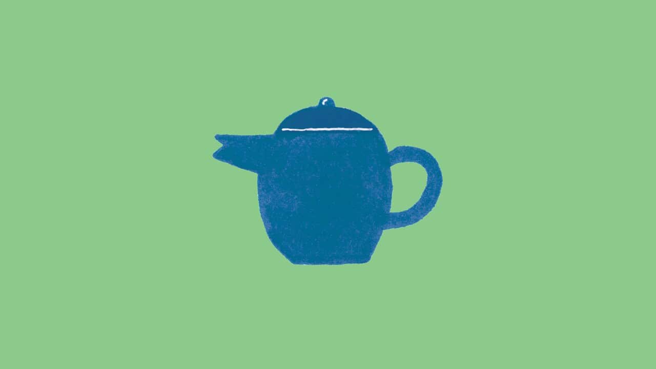 Should You Really Eat That Episode 3 Tea