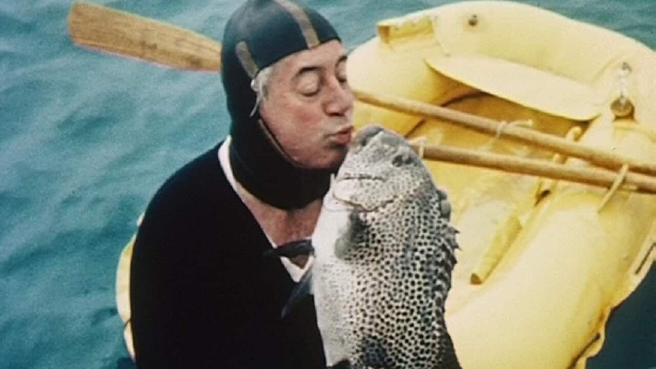 The former prime minister's grandson has rejected speculation that Harold Holt disappeared on a Chinese submarine.