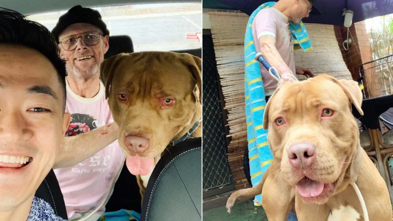 Image for read more article 'RECOMMENDED'