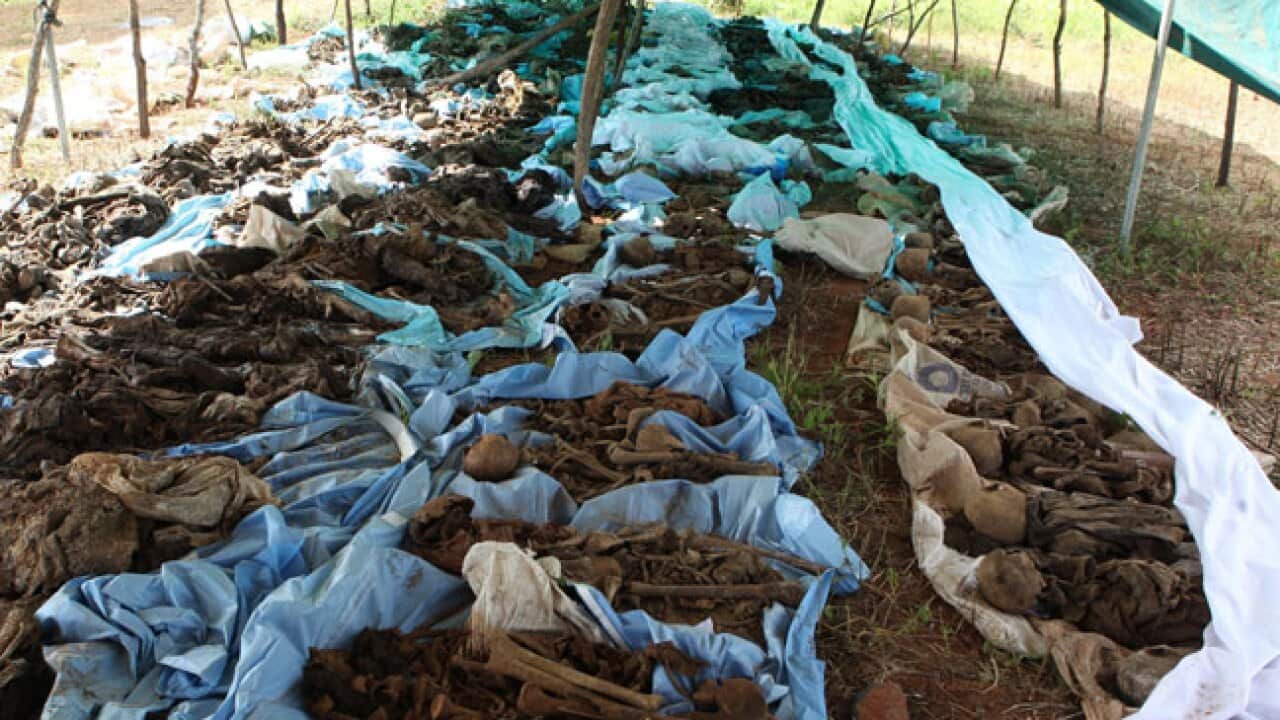 zimbabwe_b_110401_aap_1571836746