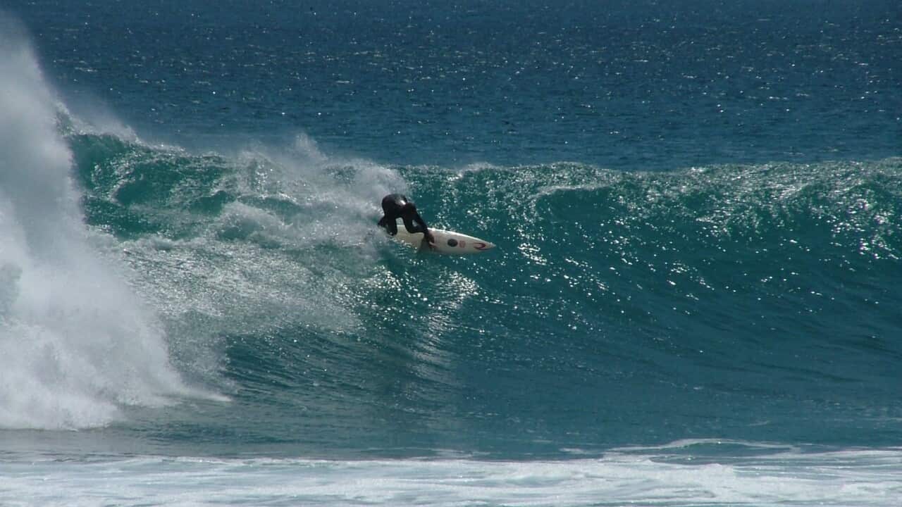 Immagine di copertina.jpg