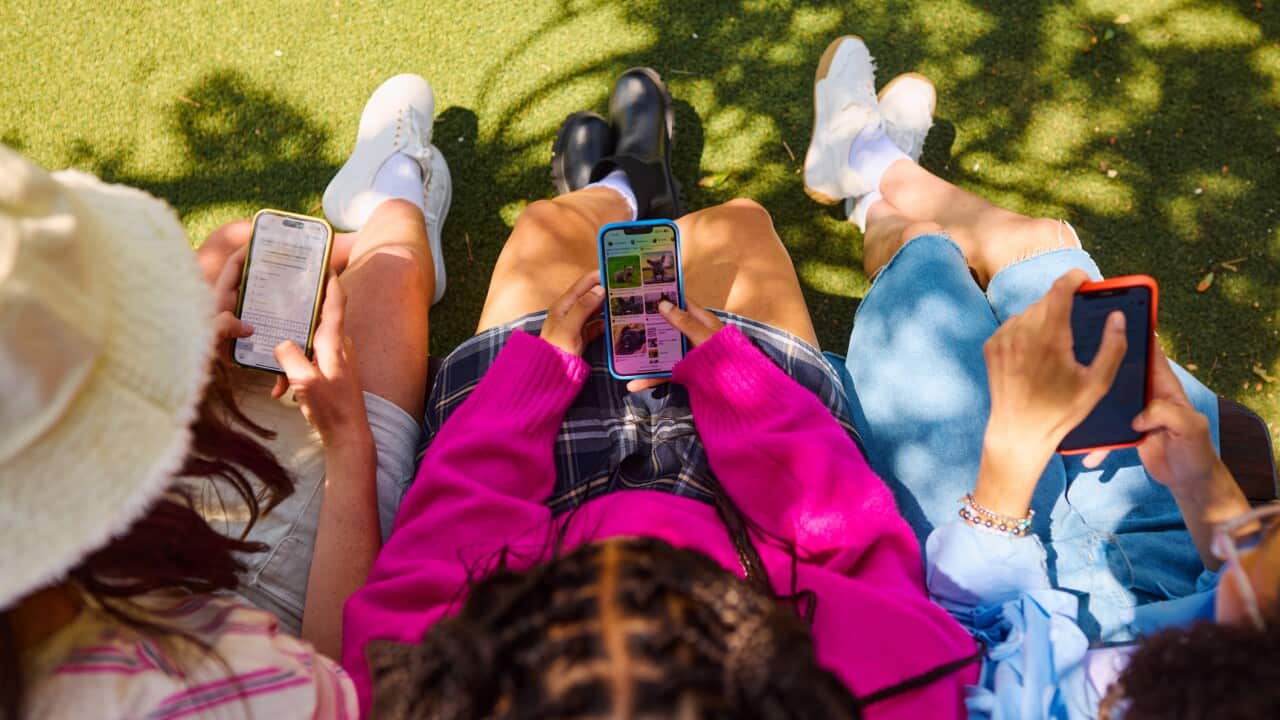 An overhead shot of three young girls wearing colourful clothes using smartphones sitting on a bench in a park.