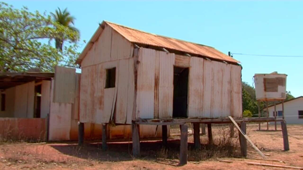 Forced Aboriginal removal not SBS News